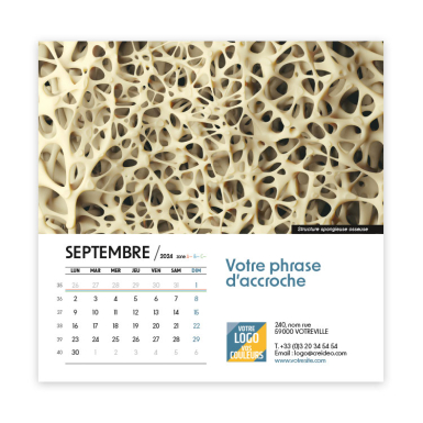 Calendrier Carré Thème Microscopique - Photo 15